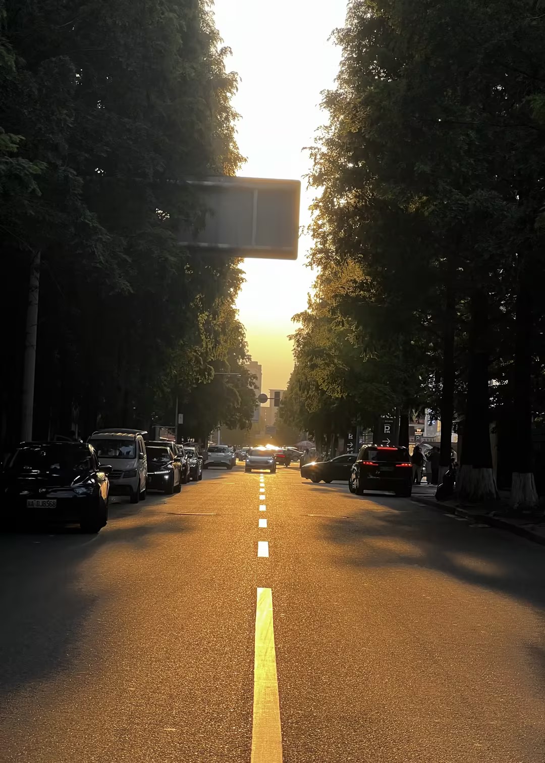 日常